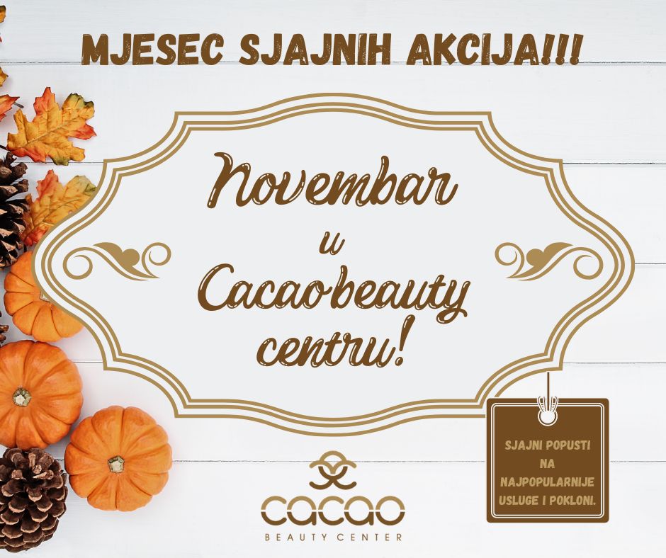 novembarska akcija